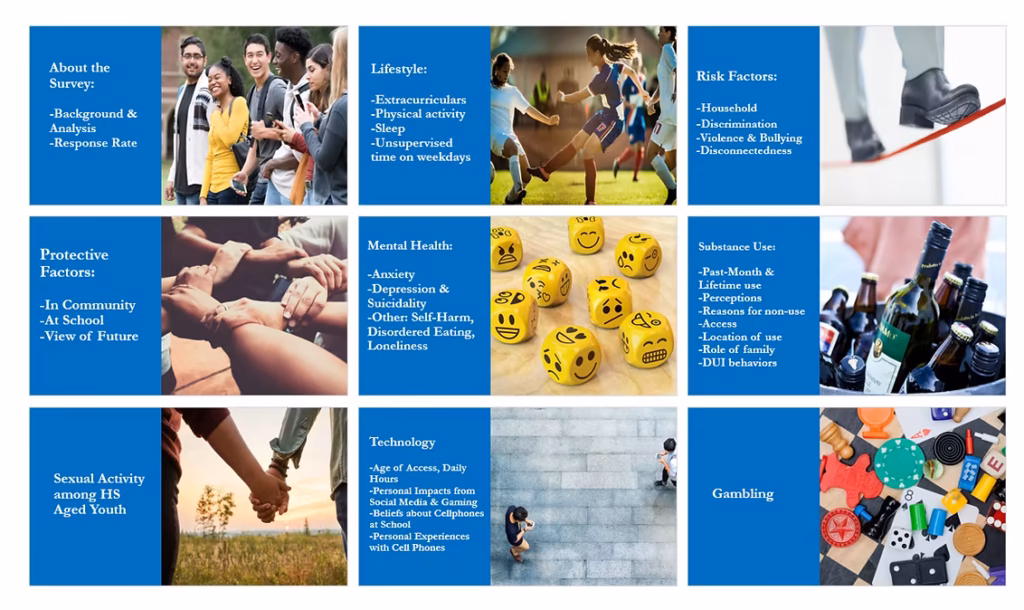 Positive Directions youth survey data
